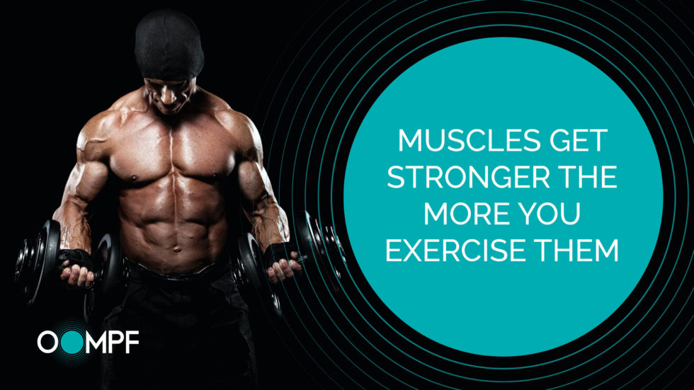 Muscles Get Stronger The More You Exercise Them | Oompf Global | Amanda ...